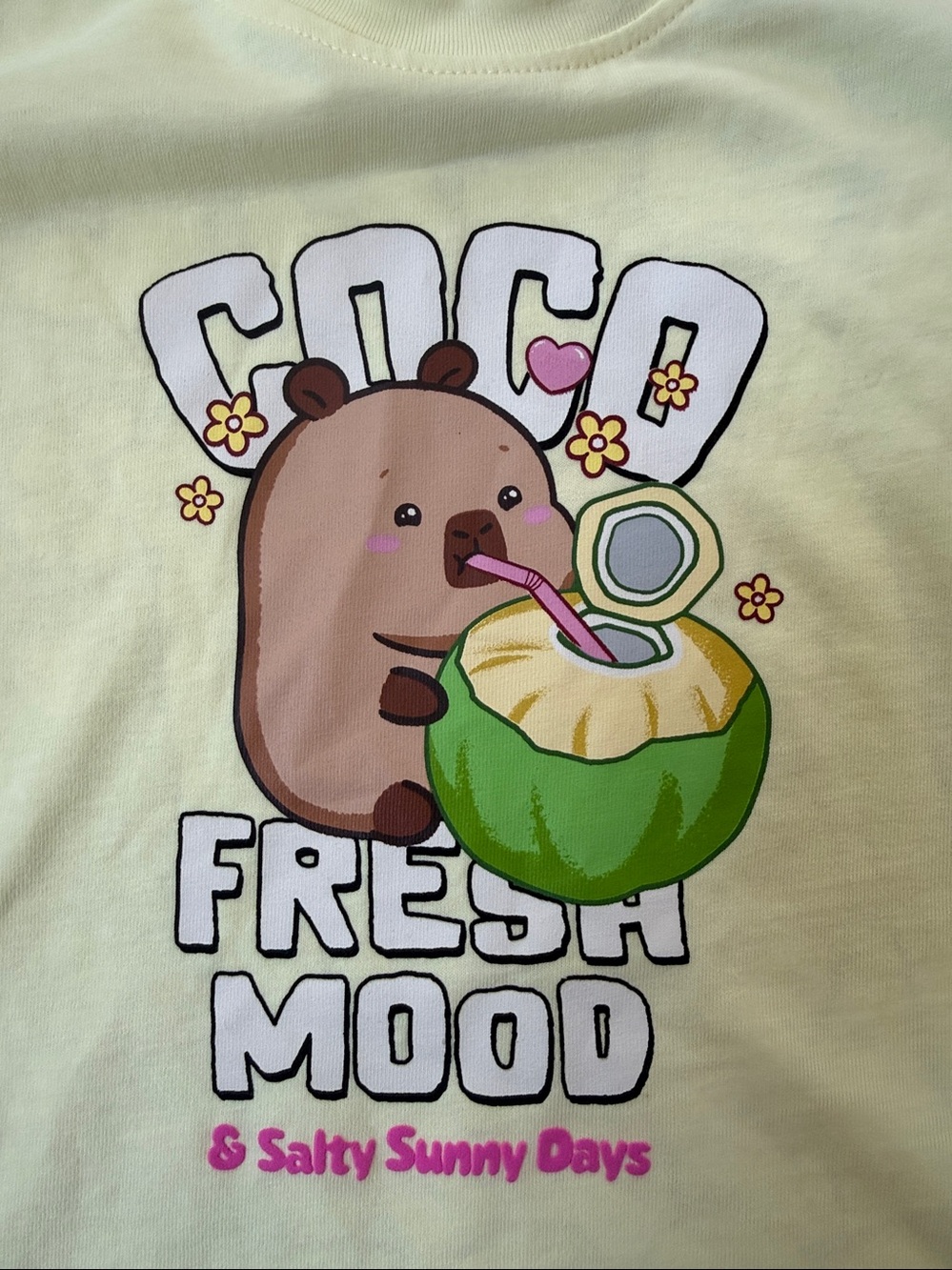 Zara's graphic CAPYBARA CAPYFUN girls t-shirt. NWT